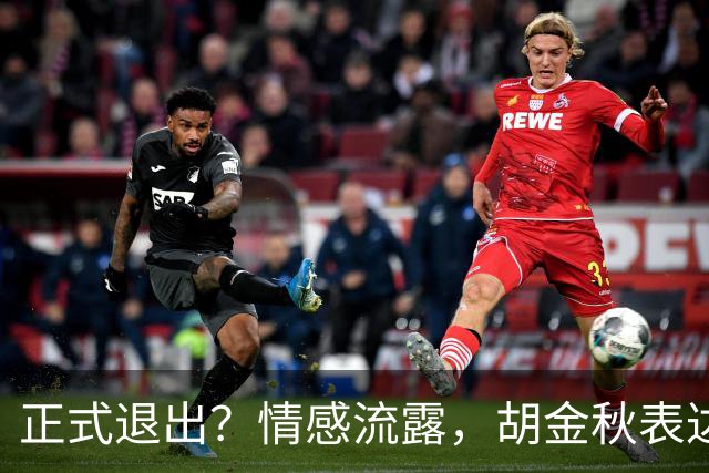 正式退出？情感流露，胡金秋表达心声，官宣决定，原因揭晓，郭士强应当领悟